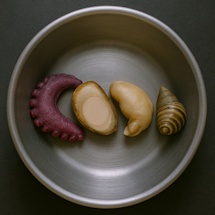 Vulcan Mollusk